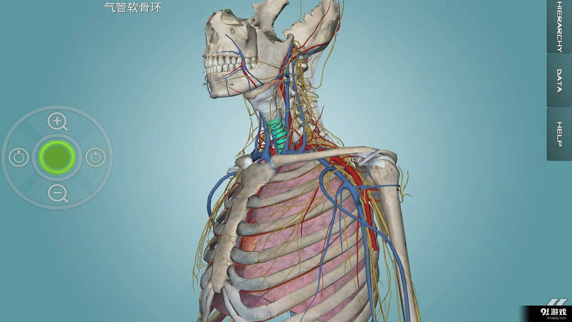人体解剖学图集截图5