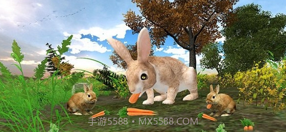 兔子模拟器截图2