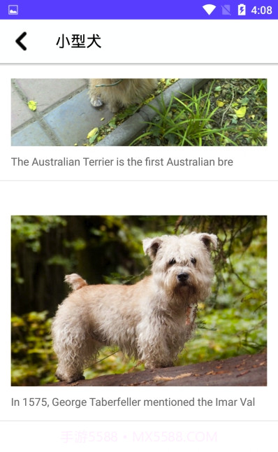 狗狗图鉴(专业动物科普图鉴)安卓正式版截图3