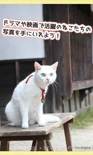 与玉之丞一起截图4