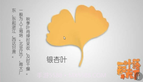 一叶落知天下截图1 一叶落知天下截图1
