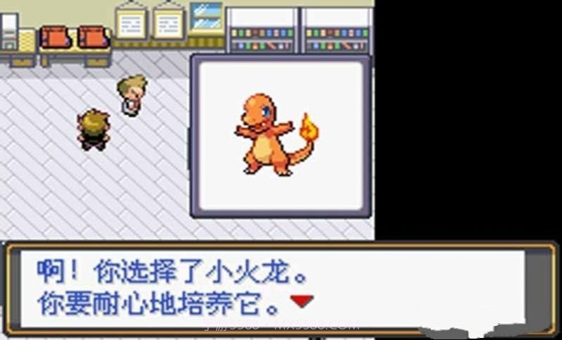 口袋妖怪火红原版截图3