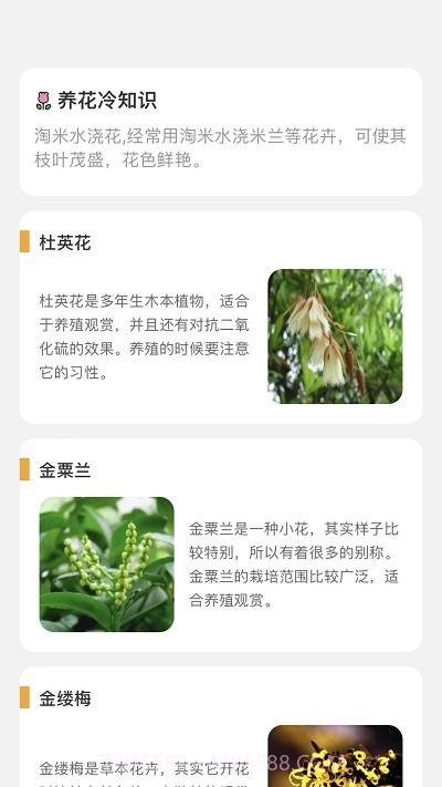 百花悦看截图4