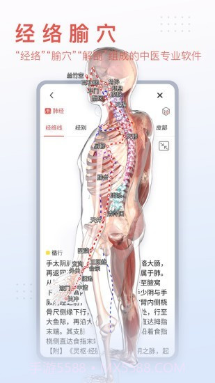 3Dbody艺用截图2