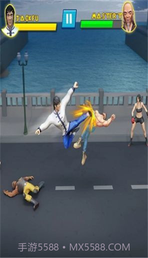 极限功夫挑战截图2