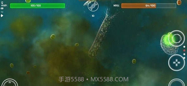 孢子的起源截图4