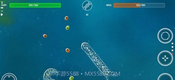 孢子的起源截图1