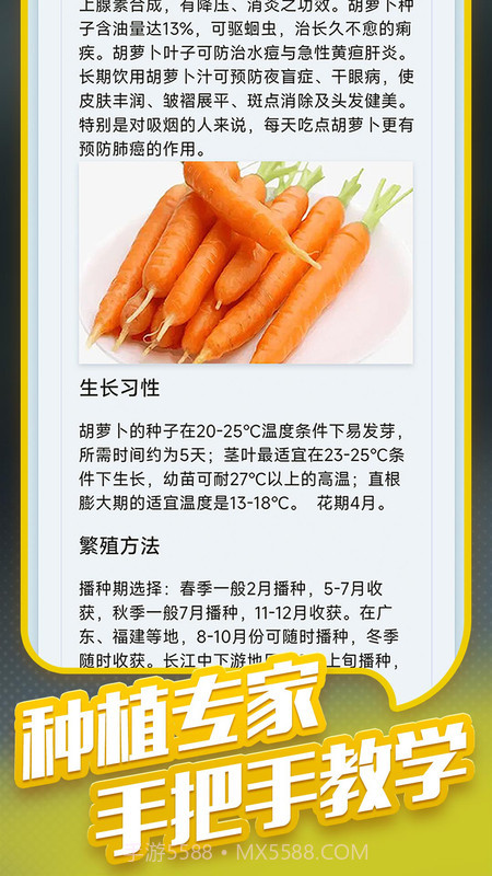 种菜专业户截图2