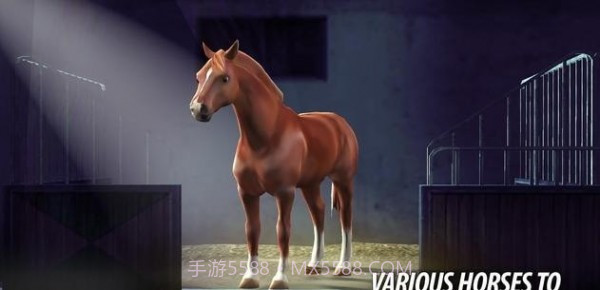 竞马比赛截图2 竞马比赛截图2