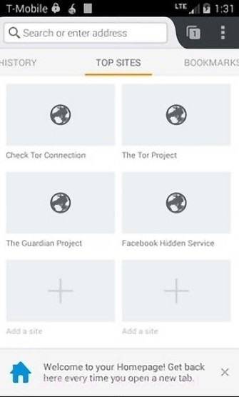 Orfox中文版截图1