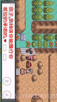 口袋妖怪暗兽神截图3