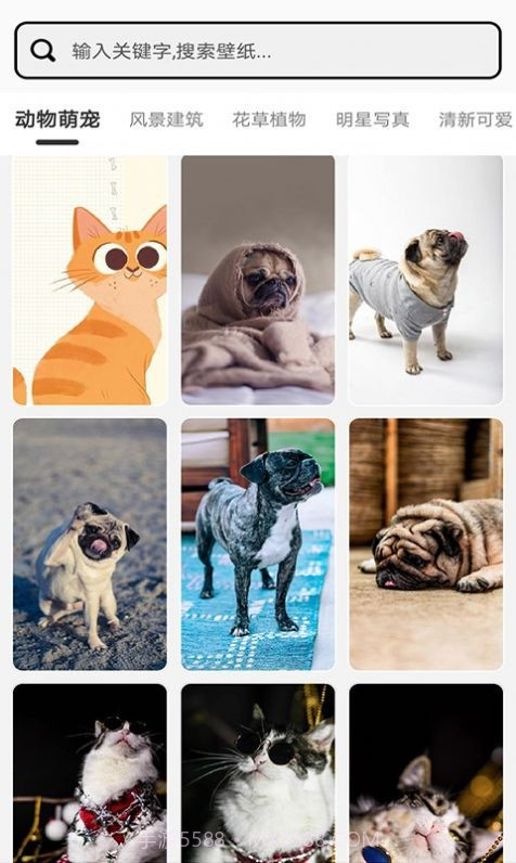 元气小组件截图3