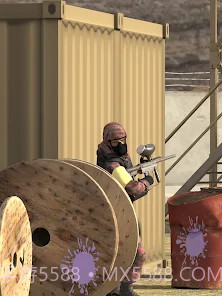 彩弹攻击3D颜料战争截图2