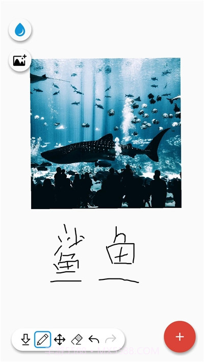 画画天才截图3