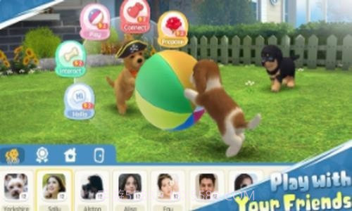 梦幻小狗截图2 梦幻小狗截图2