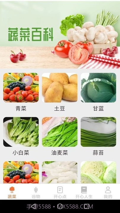 绿色菜园子截图4