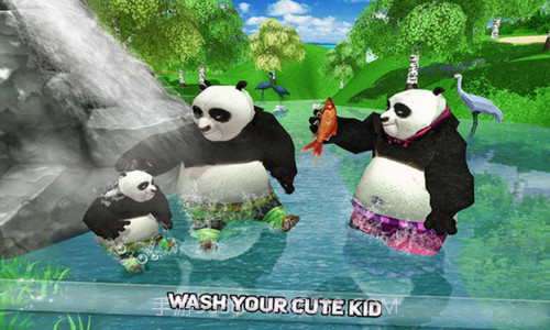 野生熊猫家族截图3 野生熊猫家族截图3