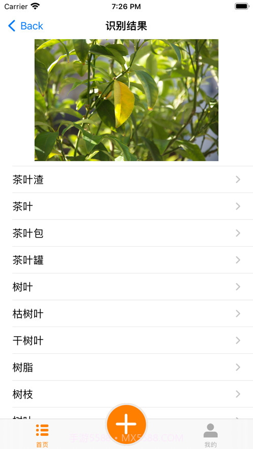 大全垃圾识别分类截图3
