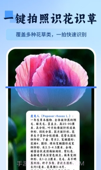 万物识图快拍易识别截图1 万物识图快拍易识别截图1