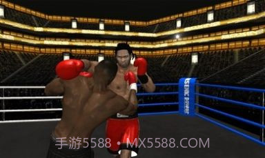 拳击之夜4截图1
