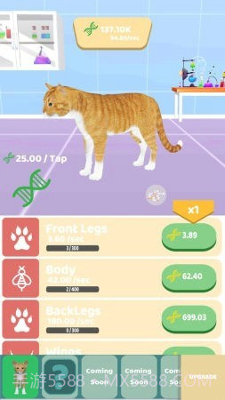 动物进化实验无限版截图3