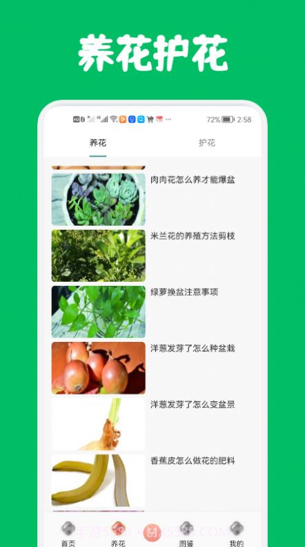识花养花截图2 识花养花截图2