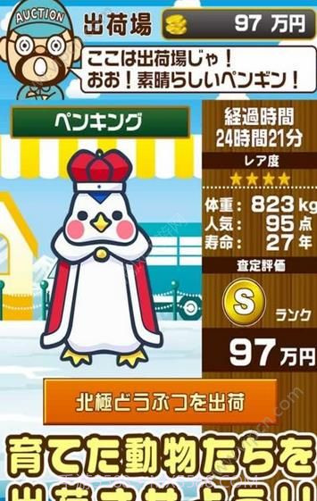 北极动物园手机版截图4 北极动物园手机版截图4