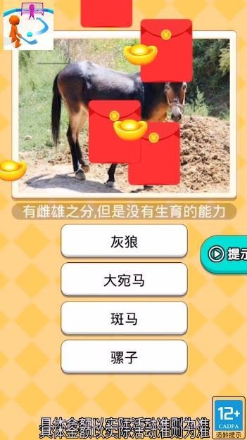 曲棍球高手截图3 曲棍球高手截图3