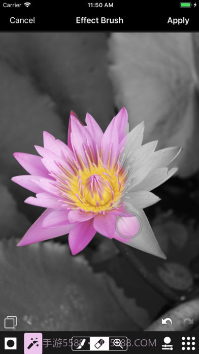 ACDSee截图2 ACDSee截图2