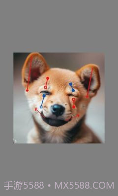 DragGAN AI图像编辑截图3