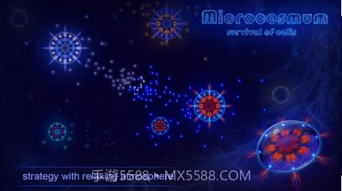 微细胞进化模拟器截图2