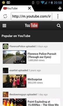 快速浏览器截图2