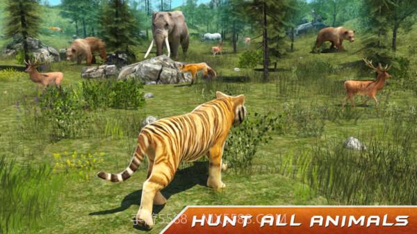 野生老虎模拟器截图1 野生老虎模拟器截图1