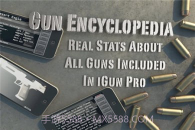 爱枪支专业版正式版截图1