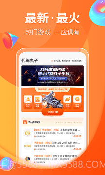代练丸子截图1 代练丸子截图1