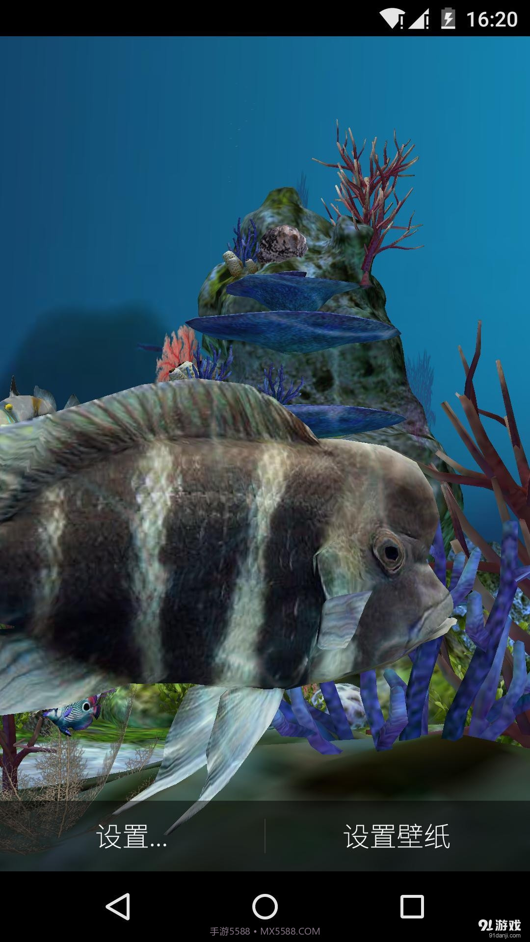 3D水族馆 梦象动态壁纸截图4 3D水族馆 梦象动态壁纸截图4