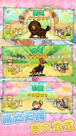 发现狗狗乐园截图2