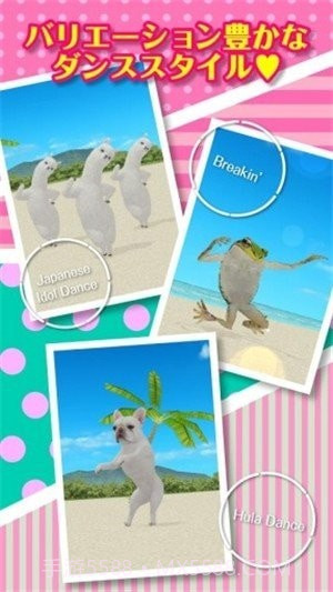 一个跳舞的羊驼截图1