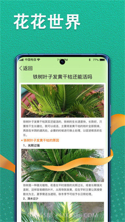 植物视界截图2
