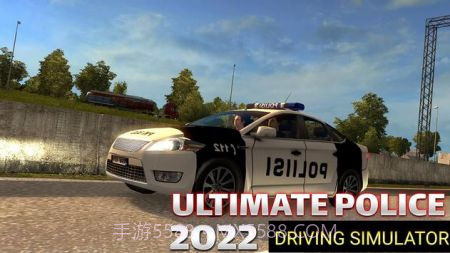 警察汽车追逐模拟器2022截图2