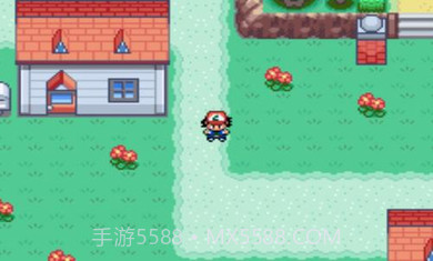 口袋妖怪圣灰汉化版截图3 口袋妖怪圣灰汉化版截图3