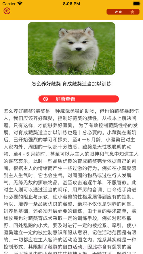 宠物宝库截图2 宠物宝库截图2