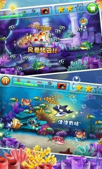 大鱼吃小鱼2中文版截图2