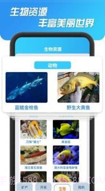 海洋寻宝记截图4 海洋寻宝记截图4