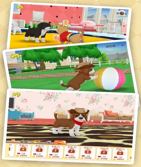 心动小狗伙伴截图2