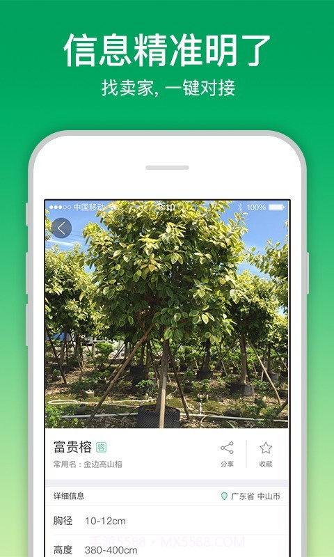 苗仓(苗木行业新闻)截图3 苗仓(苗木行业新闻)截图3