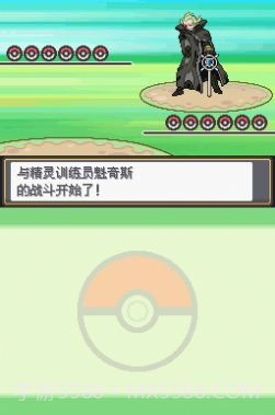 口袋妖怪血风录截图3