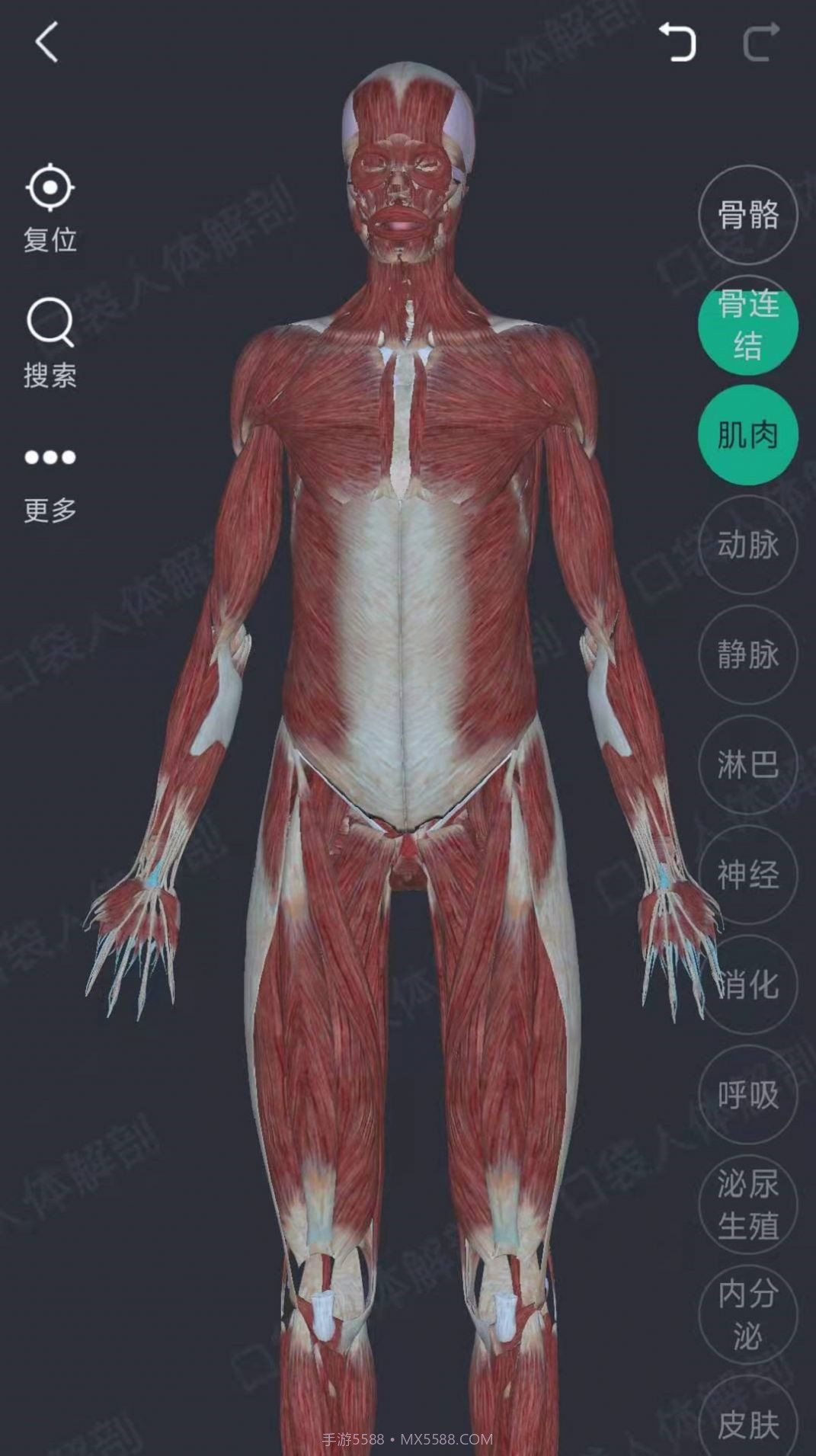 万康人体解剖截图2