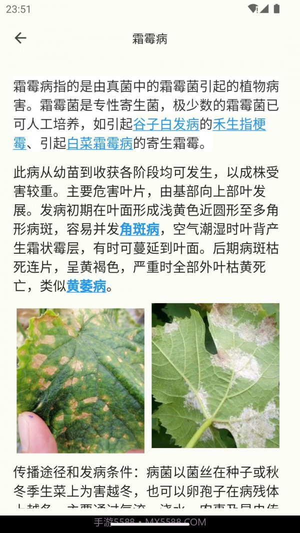 鱼菜记截图4 鱼菜记截图4