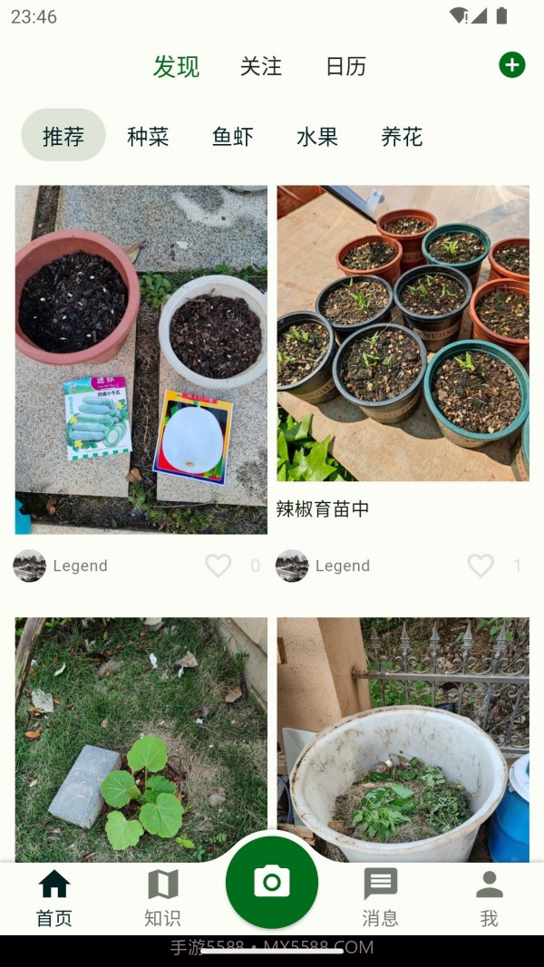 鱼菜记截图1 鱼菜记截图1